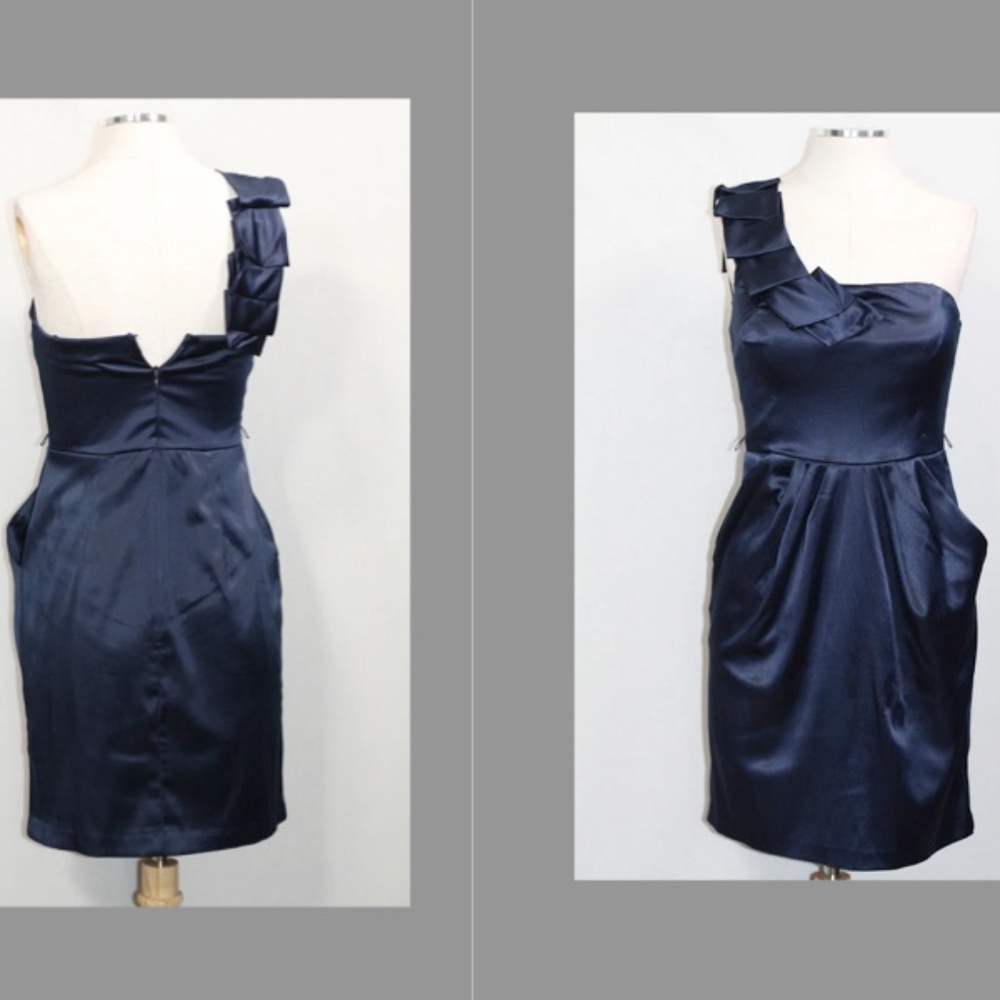 Bari Jay  Blue Gown